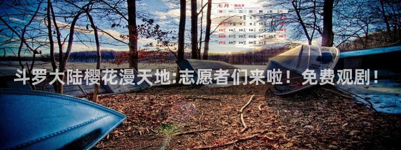 变形金刚78动漫网