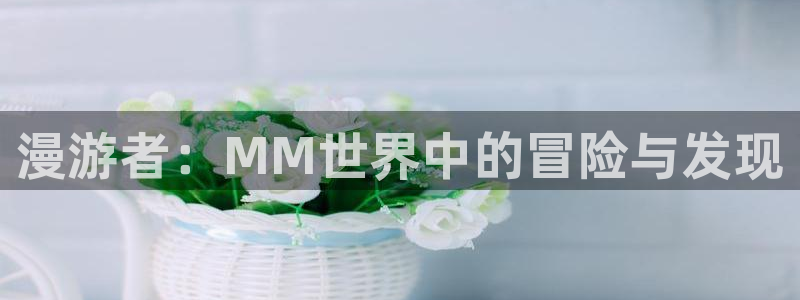 78动漫 十佳：漫游者：MM世界中的冒险与发现