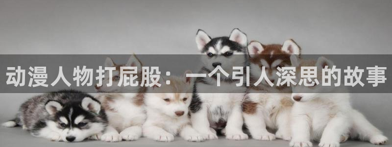 78动漫软件