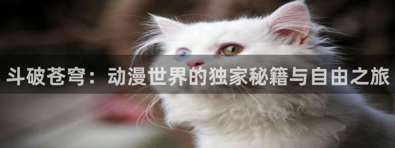 www.78动漫