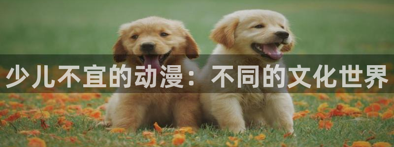 78动漫资料库