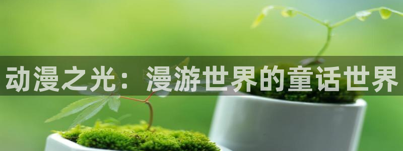 78动漫打不开了