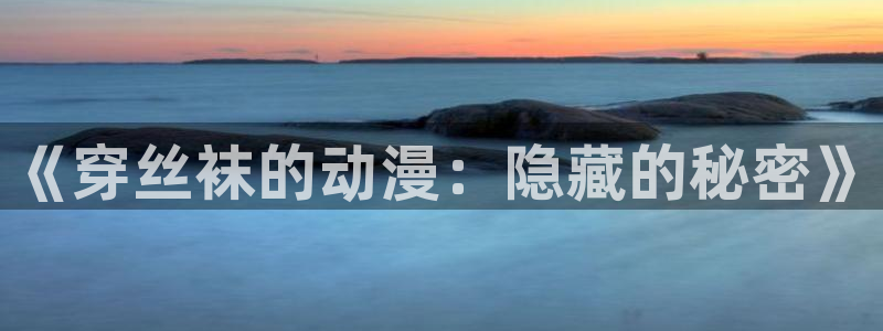 78动漫网站：《穿丝袜的动漫：隐藏的秘密》