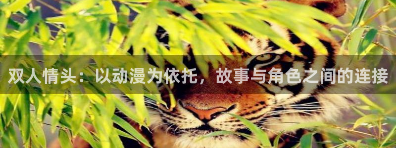 78动漫安卓：双人情头：以动漫为依托，故事与角色之间的连接