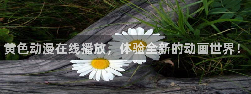 78动漫手机版：黄色动漫在线播放，体验全新的动画世界！